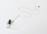 10 Most Creative Photos Of Dead Flies By Magnus Muhr