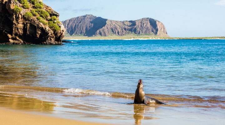 Galapagos Islands