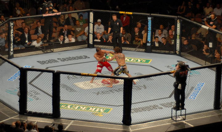 UFC 74 - Fight Formats